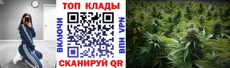 Названия наркотиков Тосно COCAIN  Мефедрон  ГАШИШ  Кетамин  Конопля  A PVP 